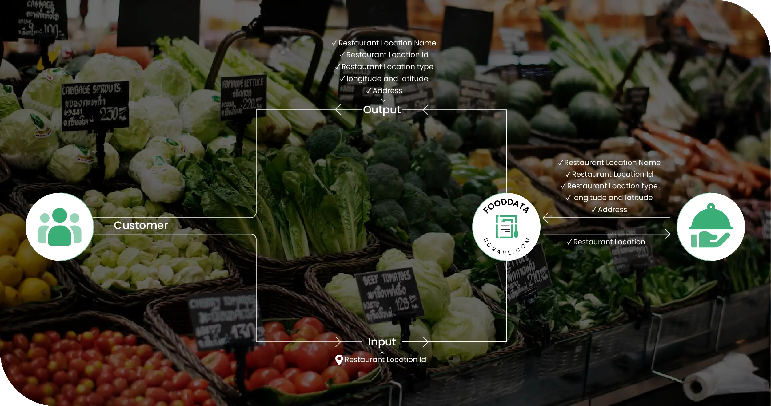 Noon UAE Methodologies